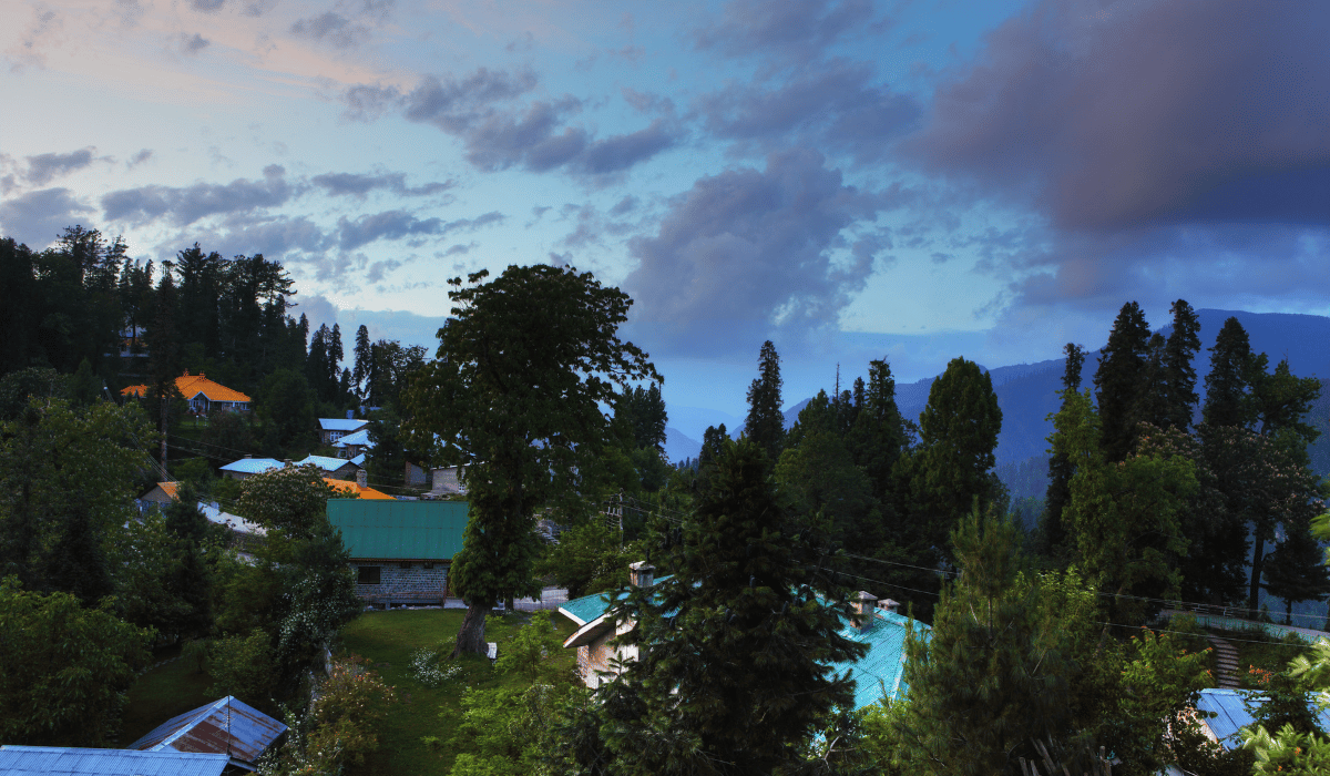 Top 5 Best Hotels In Nathia Gali For Family And Couples