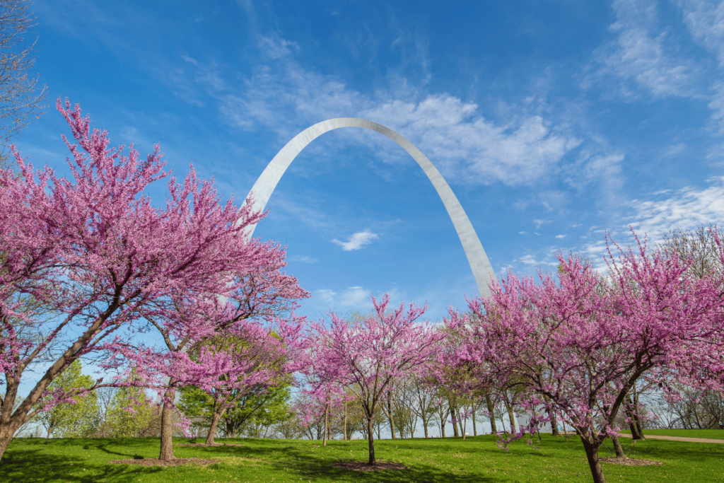 Iconic Gateway Arch