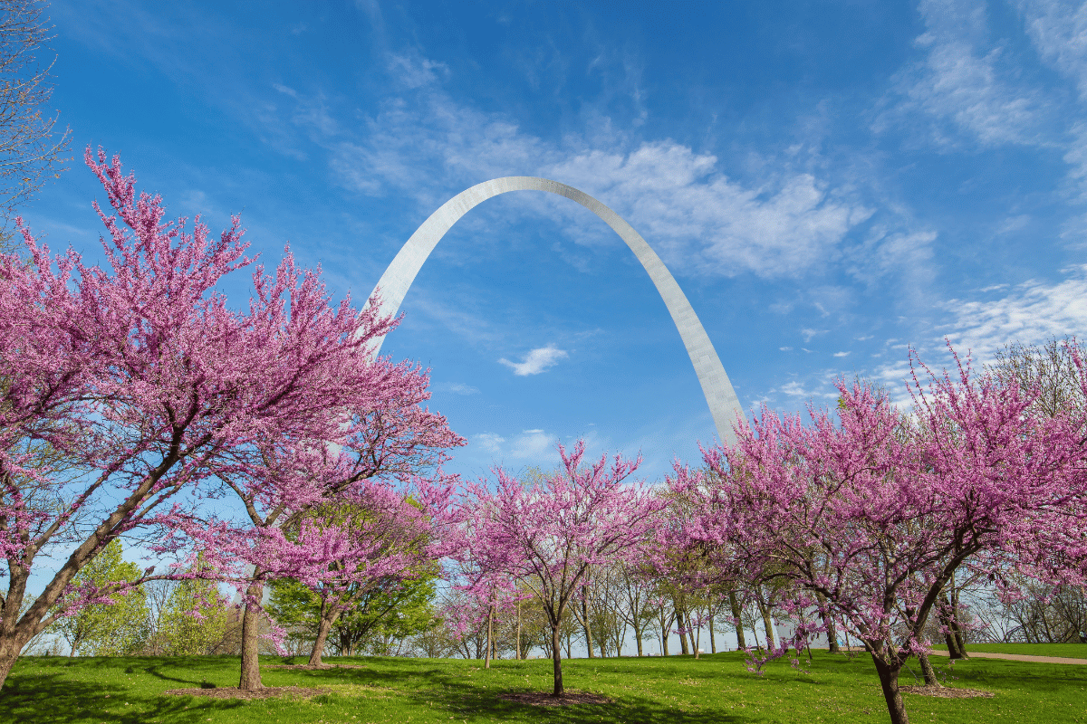 10 Unique Things To Do in St Louis That are Cool & Unusual
