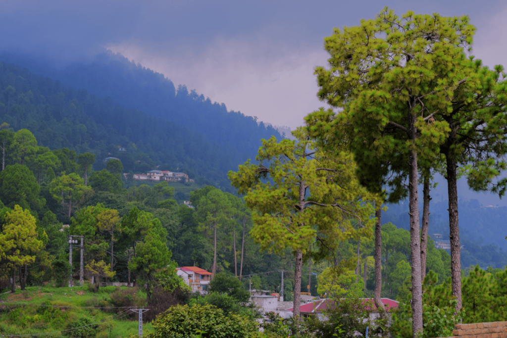 Murree 